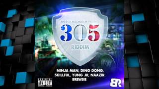 305 Riddim 2015 mix [Bassick Records] (Dj CashMoney)