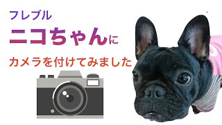 フレブル 「ニコちゃん」カメラ付けてみた！