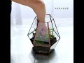 how to build a terrarium