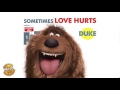 meet duke the secret life of pets