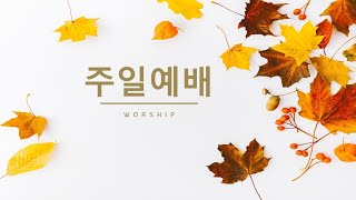 20241117-2부주일예배