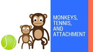 What is Attachment? | Harry Harlow's Monkeys