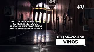 Bodega \u0026 Cavas Weinert | CASAS DEL VINO EP 03