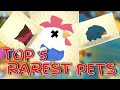 Ajpw: Top 5 RAREST Pets! (2021) Ajpw Worth Guide! Ft. Exotic Pet DNA Vials! Animal Jam Play Wild