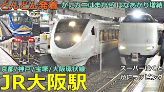 JR Osaka Station (all lines) 6🚃Trains arrive and depart one after another! ●Hana Akari, etc.