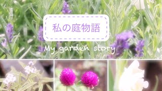 【ガーデニング】7月の庭と夏の花の植え付け/ラベンダーサシェ作り/ナチュラルガーデンを目指して/カメラ越しの幸せ