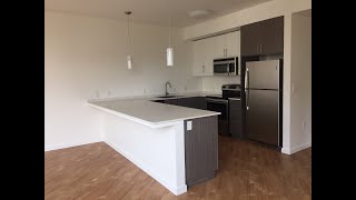 J1 Floorplan - 413