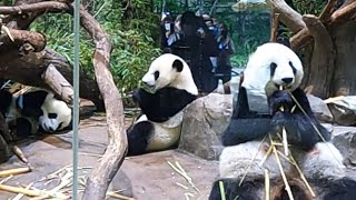 上野動物園に行こう！🐼 ⑮ ~2022年7月6日