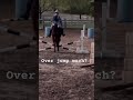 POV: Ur horse is still green on jumping but yet he jumps every time🤣#horse #pony #equestrian #funny