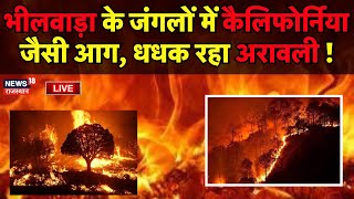 Bhilawara Forest Fire News Live : धधक रहा Arawali Forest | Fire In Rajasthan | Breaking News | Top