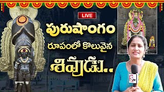 Oldest Shiva Temple in Gudimallam | Sree Parasurameswara Swamy Vari Temple | SumanTV Devotional