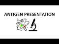 Antigen presentation via MHCI and MHCII explained!