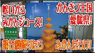 飛行機降りたらみかんだらけ♪「みかんジュースタワー」と「蛇口みかんジュース」（愛媛県松山市）松山空港