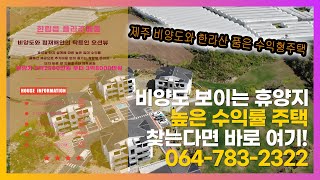 제주도 협재해수욕장과 비양도 전망 갖춘 고수익형 풀옵션 빌라 플라주메종