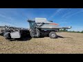 2006 gleaner 8000 for sale