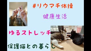 【#リウマチ】#健康 ＃ストレッチ#保護猫 /リウマチ体操/ゆるストレッチ/保護猫との暮らし/