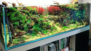 Beautiful Aquascaping Store in Madrid - PZES.es