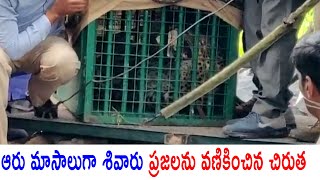 ఎట్టకేలకు చిక్కిన చిరుత ||ఆరు మాసాలుగా శివారు ప్రజలను వణికించిన చిరుత|Dr.RK Goud| TFCCLIVE