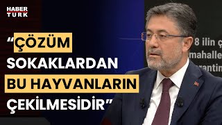 Bakan Yumaklı sokak köpekleri hakkında soruları yanıtladı: Sorun bu hayvanların sahipsiz olmasıdır