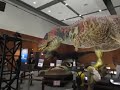 大恐竜展inなんばティラノザウルスの叫び声Ⅱ