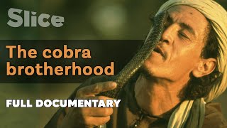 The cobra brotherhood | SLICE | Full documentary