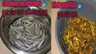 How To Wash Small Fishes fried Chuna Macha #washsmallfishes,#chunamacha,#friedchunamacha