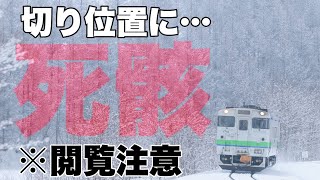 【鉄道写真】切り位置に死骸…根室本線最後の撮影。