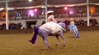 BRC SEIB Quadrille Final 2017 - Cornwall TREC Mary Poppins