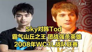 魔兽经典回顾 Sky Tod 霸气山丘之王 连续强杀英雄