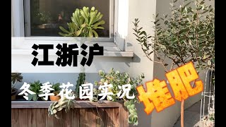 [山乌龟]真实·随心所欲·冬日花园实况｜江浙沪｜户外多肉｜堆肥箱｜园艺记录