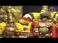 శ్రీవారి డోలోత్సవం srivari dolotsavam 25 01 2025 svbc ttd