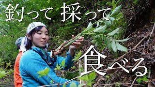 【渓流釣り】山で食材をとって食べる、キャンプの夜【山菜と釣り旅②】