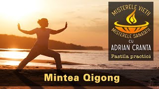 Pastila de practică - Mintea Qigong