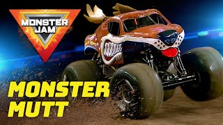 Monster Mutt Is Ready To Be Unleashed! / Most Epic Monster Jam Trucks / Episode 3