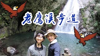 [新竹] 五星級步道! 老鷹溪步道, 玩水好去處! Eagle Creek Falls in Hsinchu, Taiwan