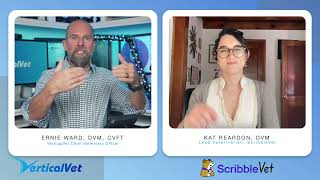 Introducing ScribbleVet AI Scribe