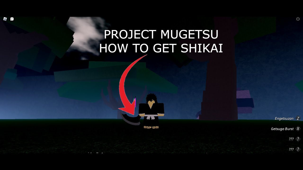 Project mugetsu roblox codes