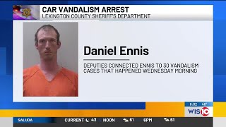 Lexington County man arrested, accused of spray-painting more than 24 cars in Red Bank