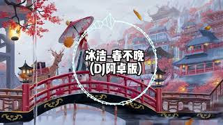 春不晚（DJ阿卓版）-冰洁 【姑娘一句春不晚 痴儿留在真江南】2025抖音热门古风音乐