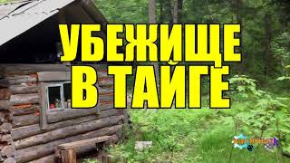 БИЧИ В СИБИРИ | ЗАБРОШЕННАЯ ДЕРЕВНЯ | СУДЬБА ЧЕЛОВЕКА | ЖИЗНЬ В ТАЙГЕ