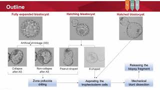 An effective method for trophectoderm biopsy using mechanical blunt dissection...