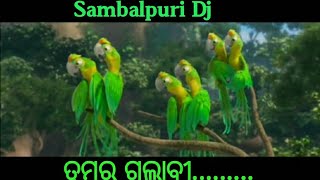 Rio Bird Dance | Tumar Gulapi ke | Sambalpuri Dj Song |