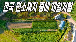 전국 어디를 가도 이런가격으로 구경도 못합니다 - 충주시 No.1 토지, 전원주택 협동부동산, 땅보스TV