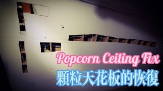 Popcorn Ceiling Fix/ 颗粒天花板的恢复