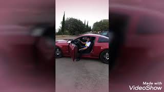 Leqsebi მშვენიერება