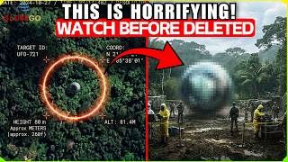 Satellite Zooms in on a STRANGE OBJECT JUST LANDED.. What Happened Seconds Later Shocked the World