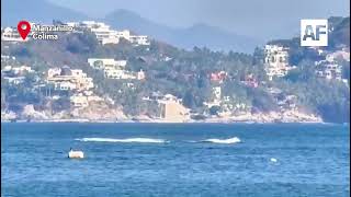 Espectacular avistamiento de ballena en la Bahía de Manzanillo, Colima