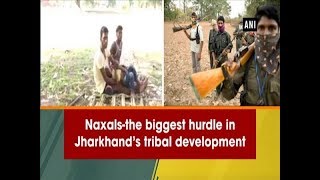 Naxals- The biggest hurdle Jharkhand’s tribal development - Jharkhand News