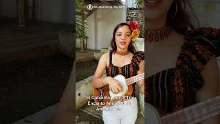 Son Huasteco "El Caballito" por el Trío "Encanto Amateco" de Amatlán Veracruz