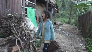 Myvillage official videos EP 1265 || Daily activities in village